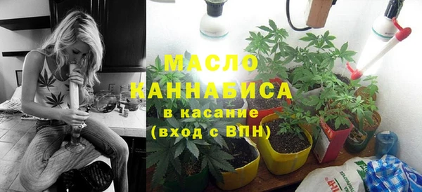 сатива Касимов
